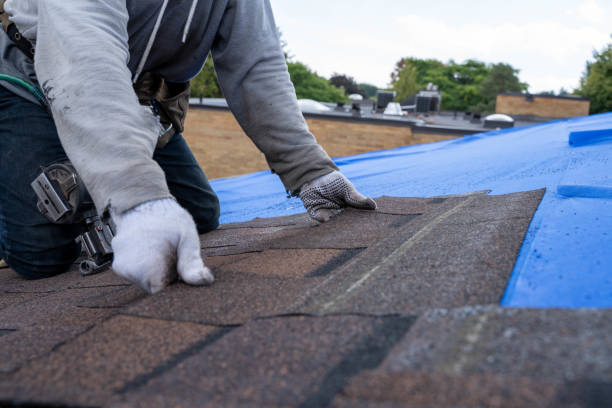 Best Roofing Contractor Near Me  in Pinckney, MI