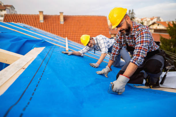 Best Roof Gutter Cleaning  in Pinckney, MI