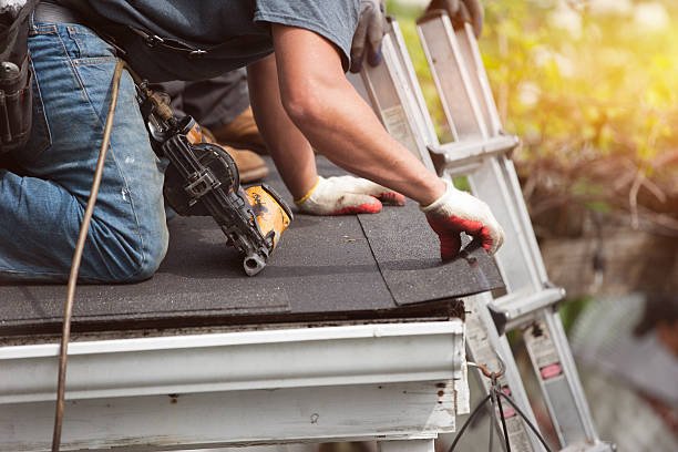 Best Roof Repair Services  in Pinckney, MI